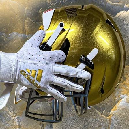 BV Lynx Football tweet media