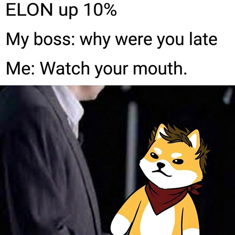 Edwin (🚀, 🔴) tweet media