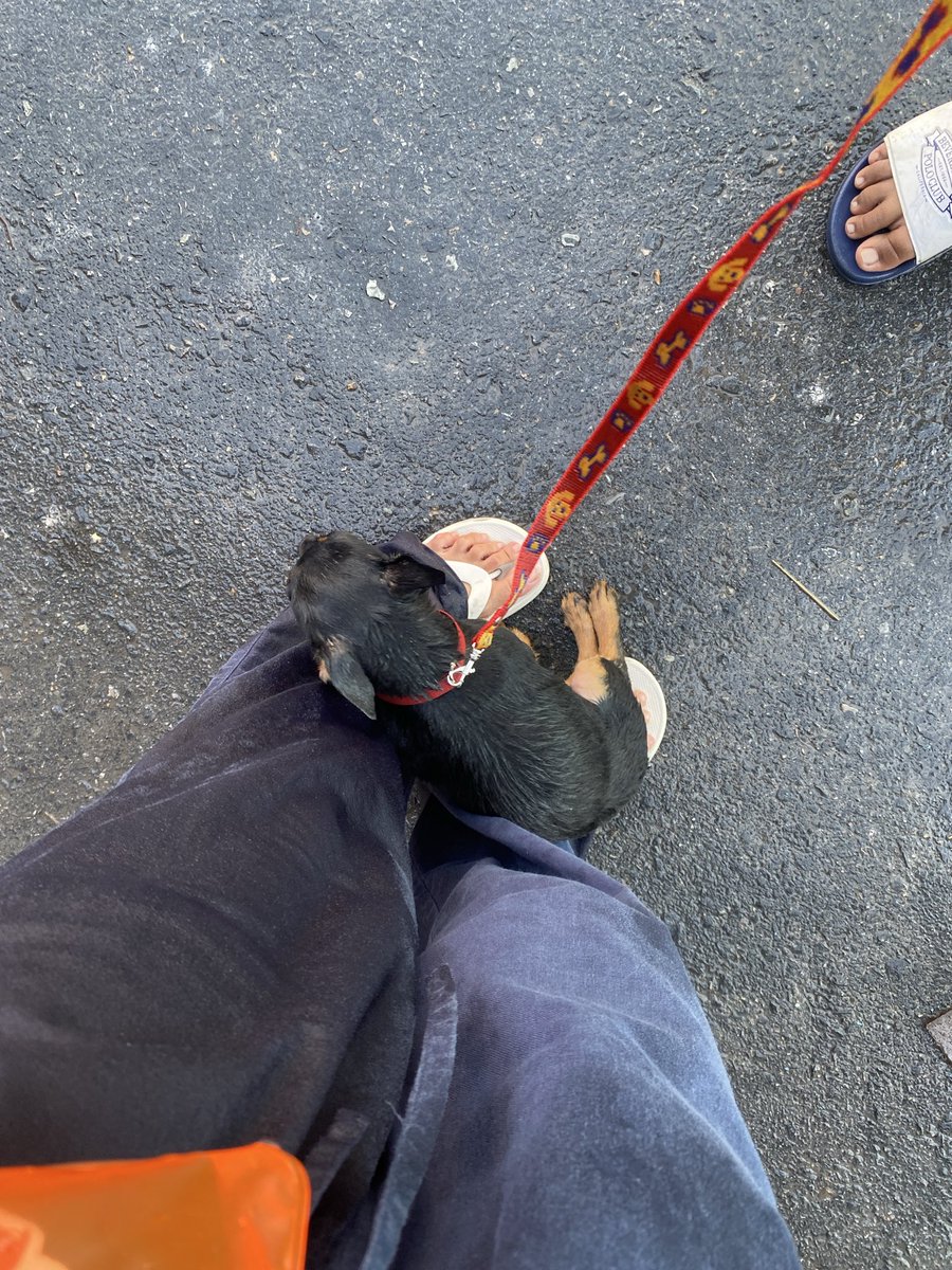 วันเสาร์ 🪐 tweet media