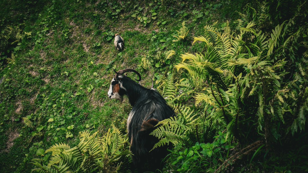 AREEJALSLAQI tweet media