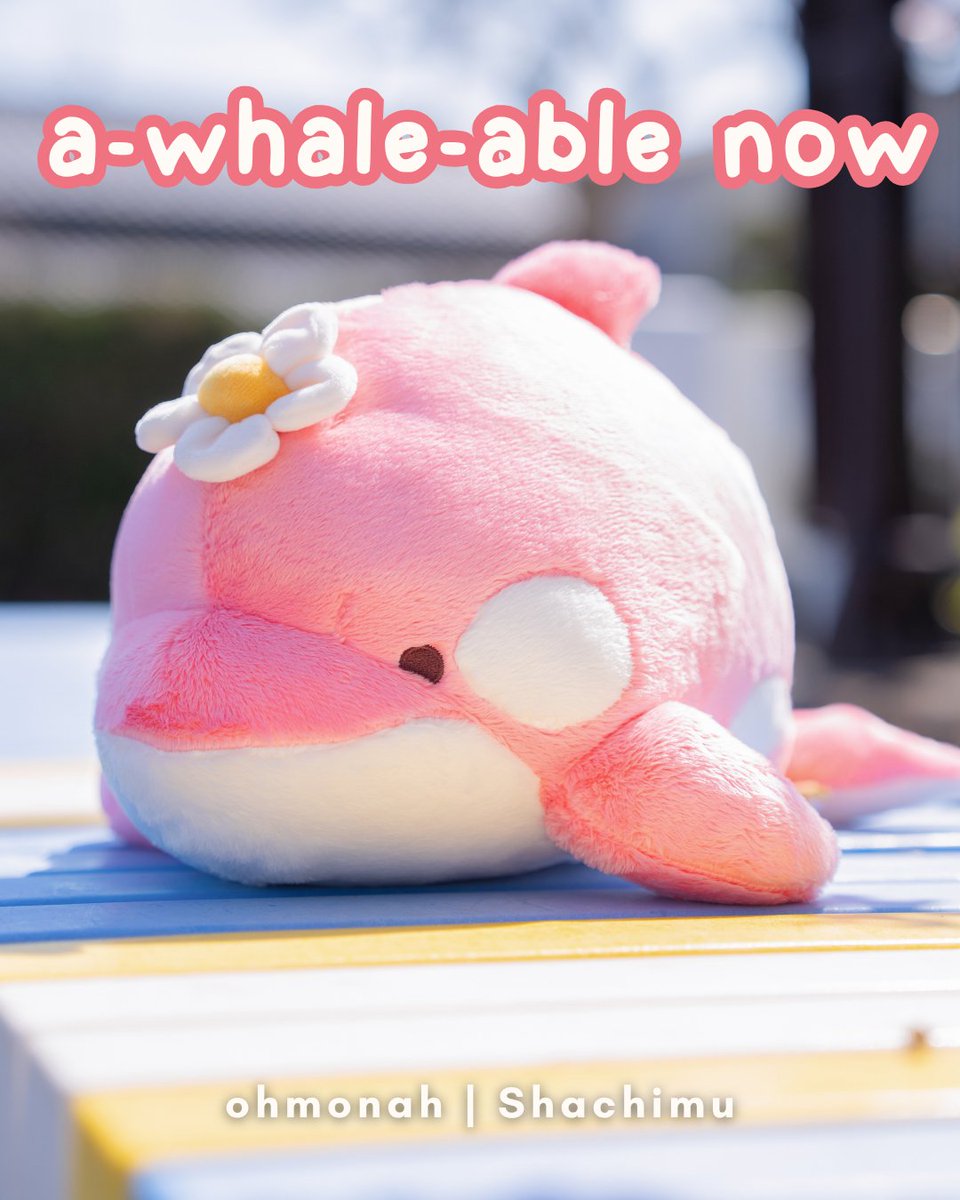 She's literally just a girl. And a whale. And a flower. 💅

ohmonah | Shachimu