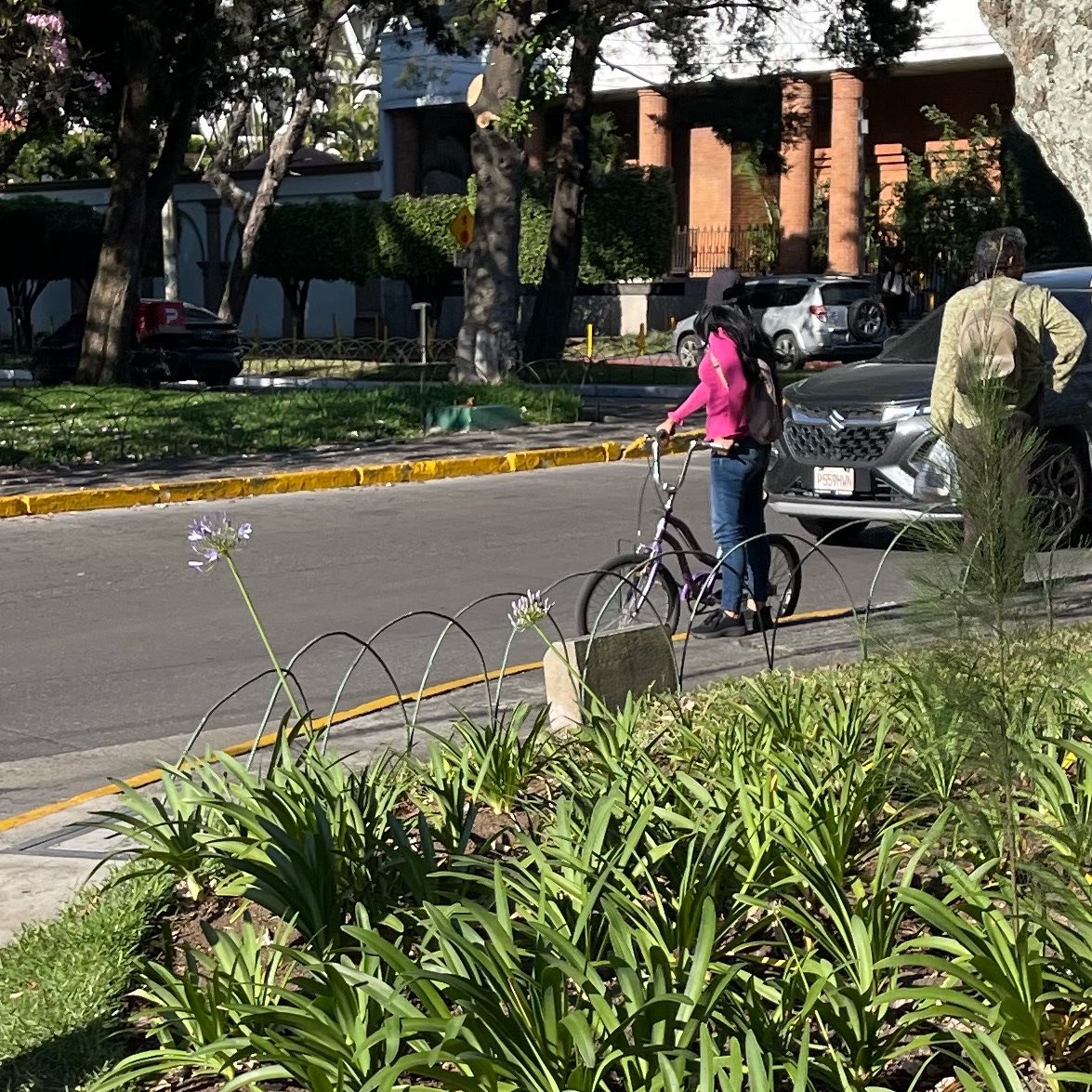 Perturbación Tropical 🚲🍉 tweet media