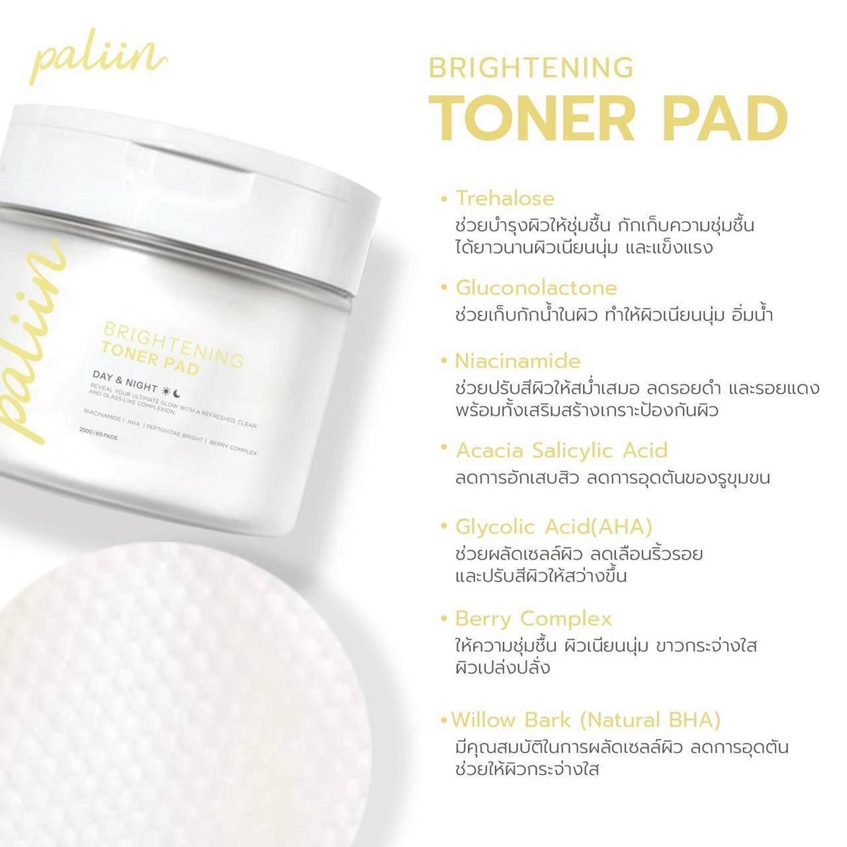 Paliin Official tweet media