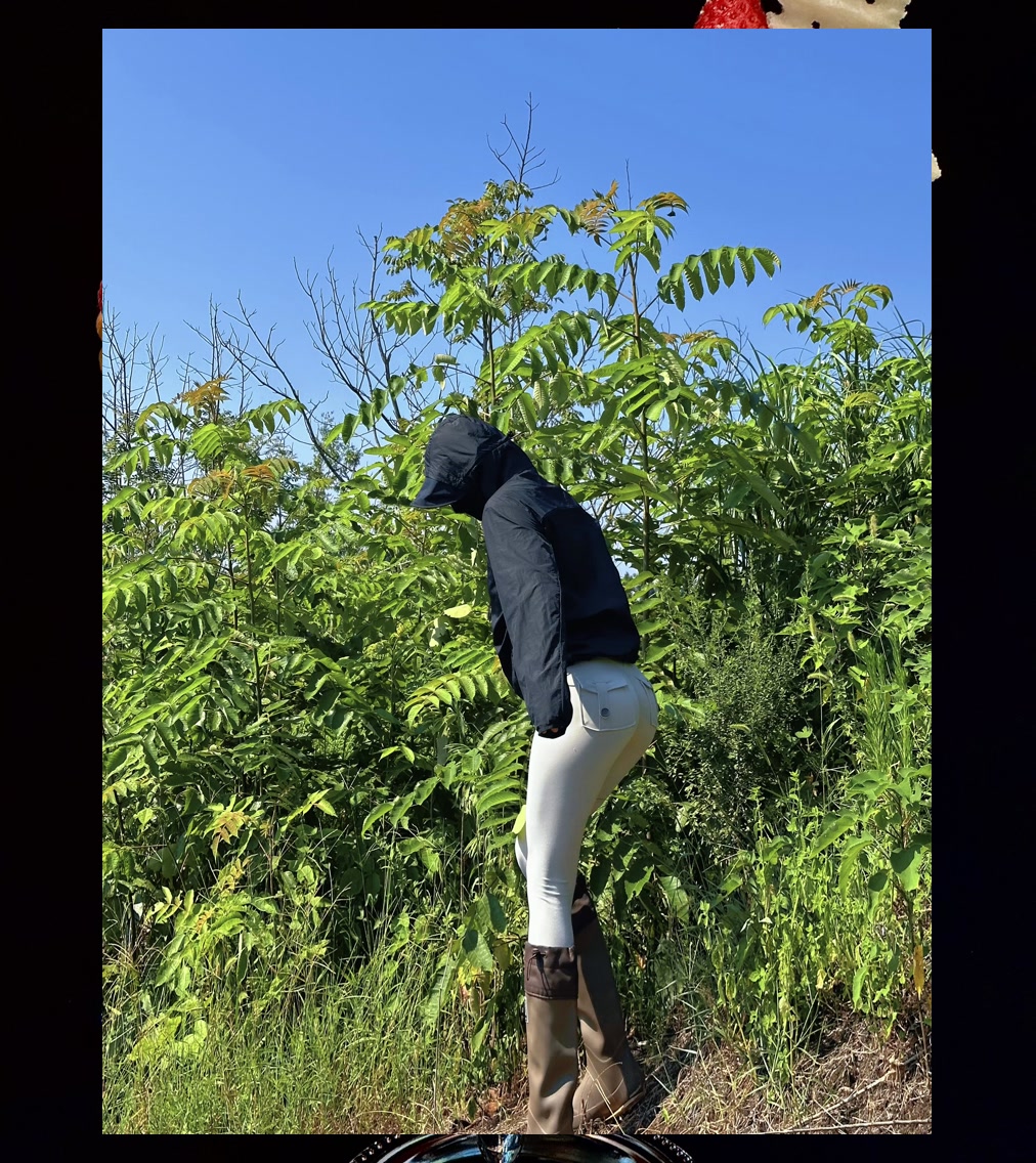 Graham Giuliani tweet media