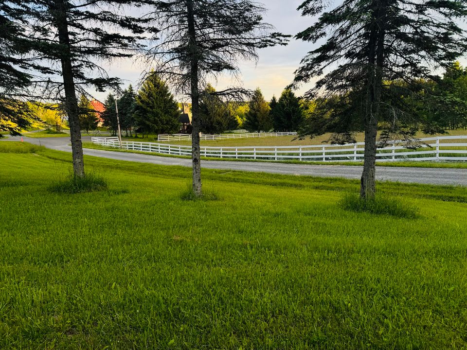 Equestrian House© Vacation Rental and Events Venue tweet media