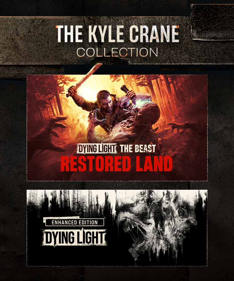 Dying Light tweet media