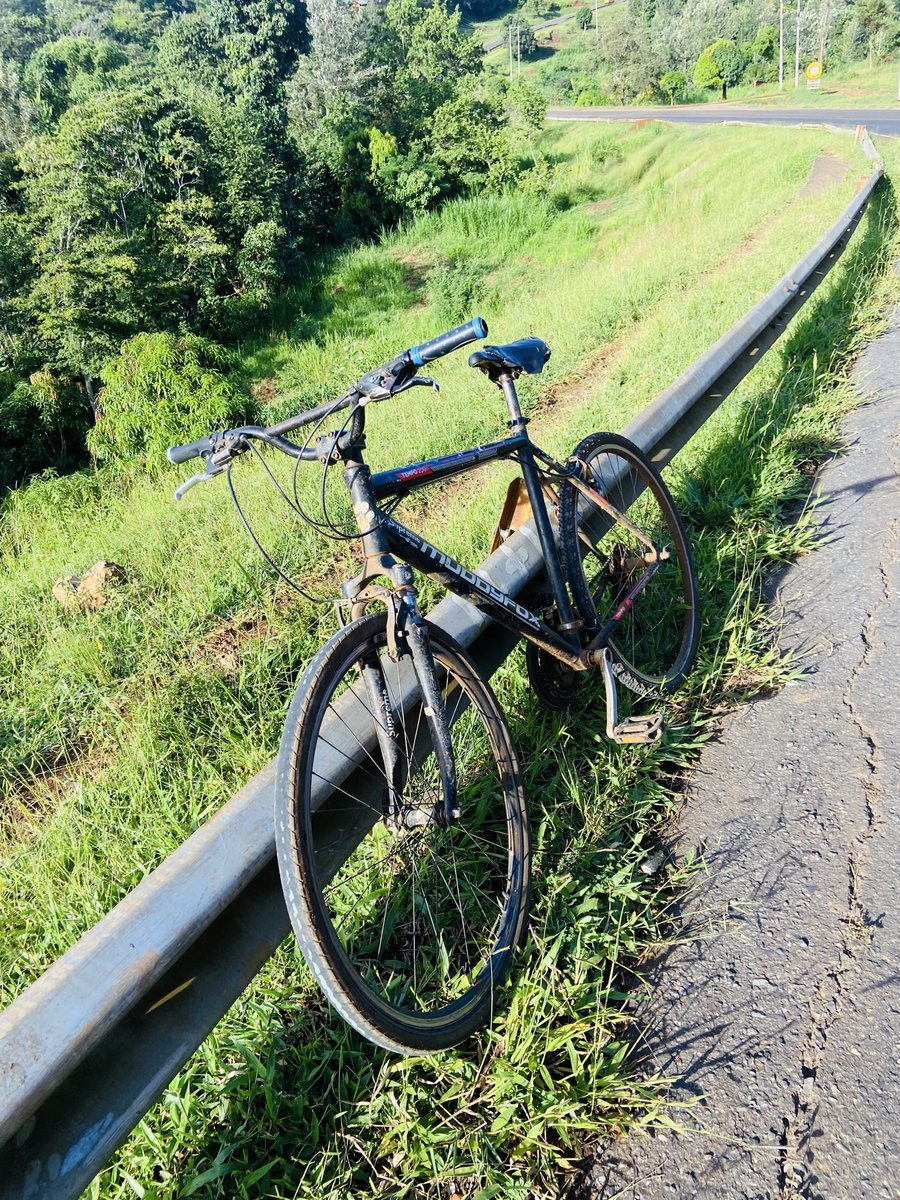 WildCanvas tweet media