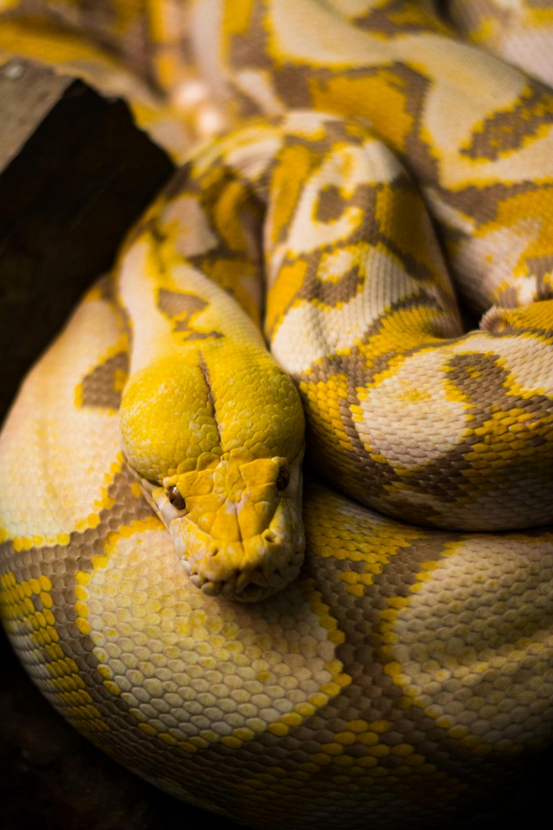 Katie tees tweet media