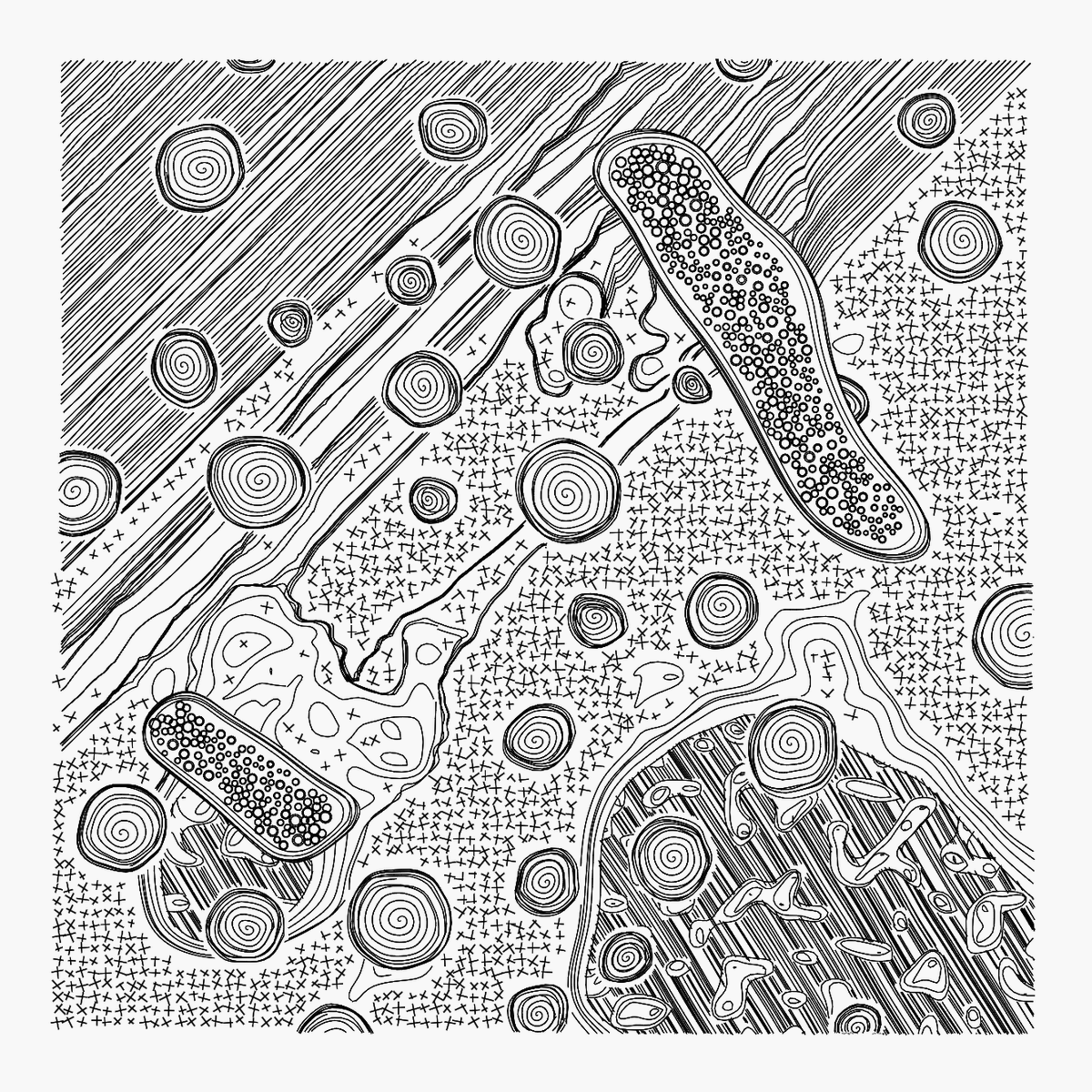 CCDDBB's tweet image. W.I.P. Metastasi #1

To be released on the new @bootloader_art gen art platform. So nice to have again a place on Tezos to mint long form projects.

Thank you @objktcom 💚

#javascript #plotterart #plottertwitter #generativeart #genart #digitalart #abstractart #graphicart