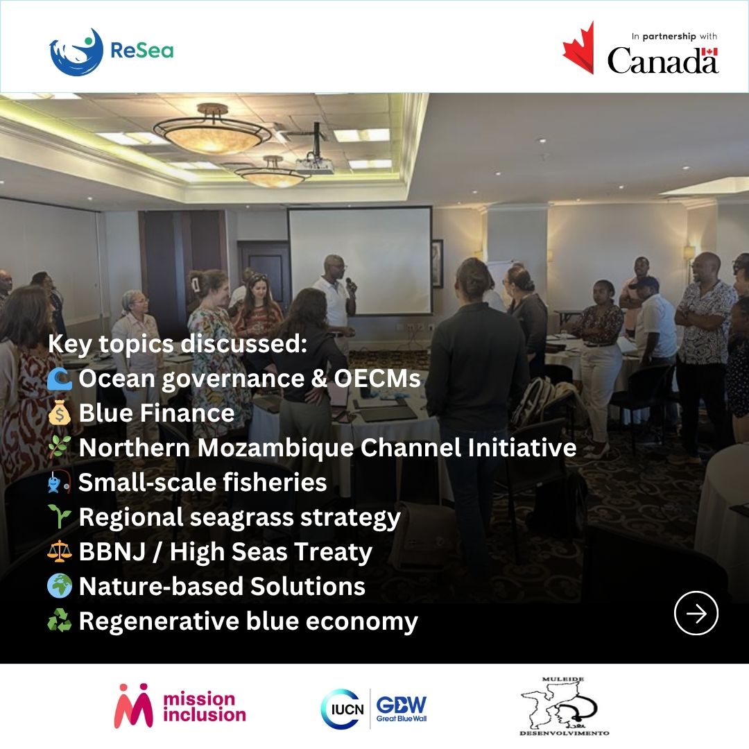 resea_project's tweet photo. In Maputo, #ReSea joined WIO-C voices advancing ocean governance, blue finance & fisheries for a stronger Western Indian Ocean.
#InclusiveClimateAction #WIOC #BlueEconomy #WIO #GreatBlueWall
@CanadaDev https://t.co/9uVAyFShyq