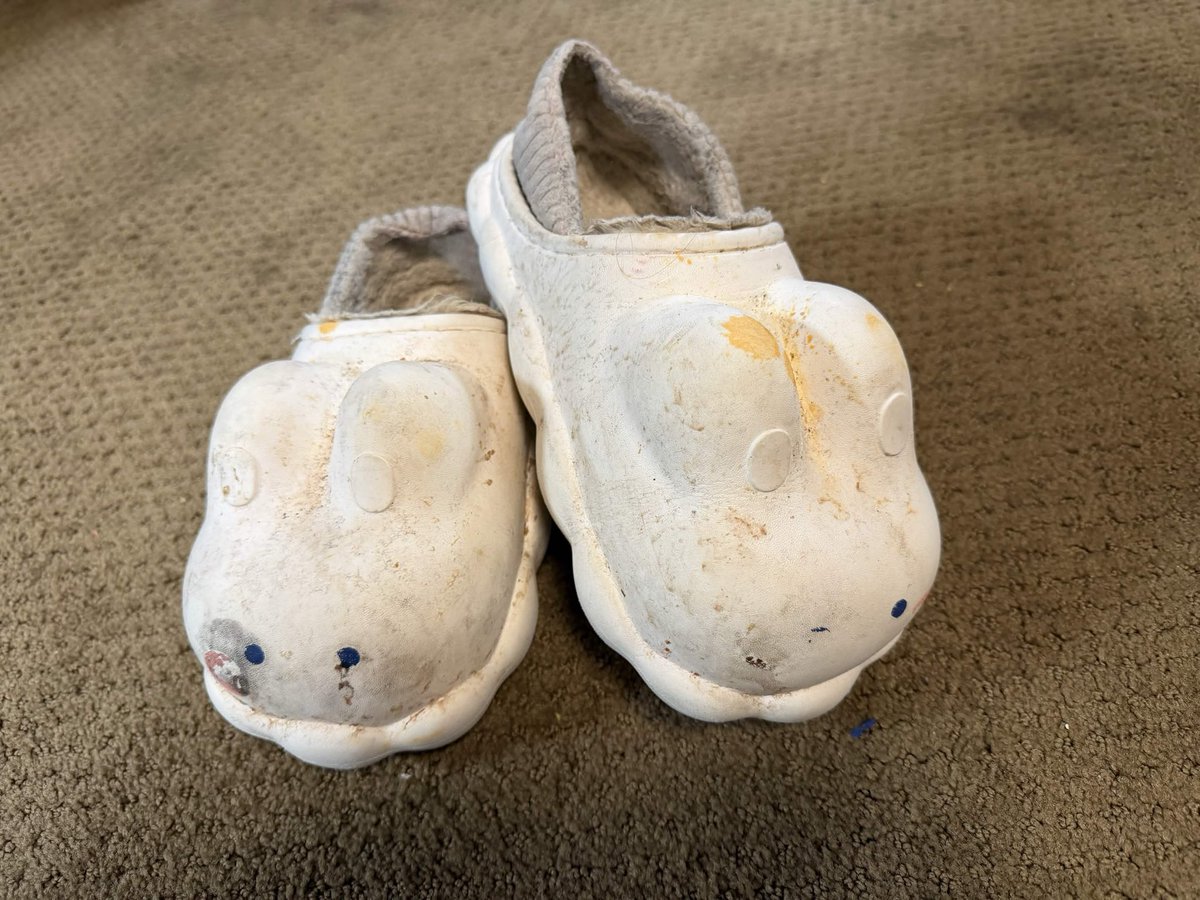 BinxBasilisk tweet media