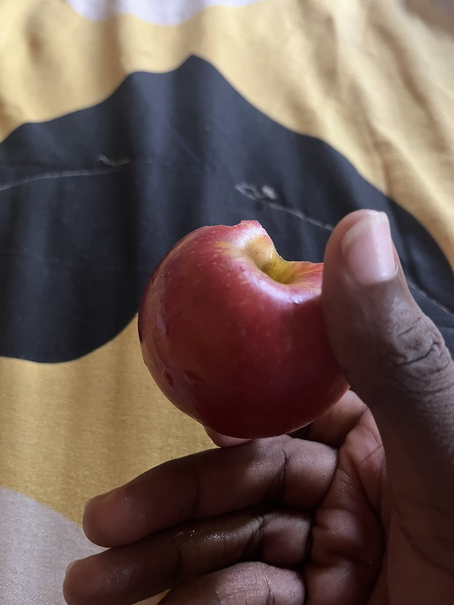 MayorOfDesignn tweet media