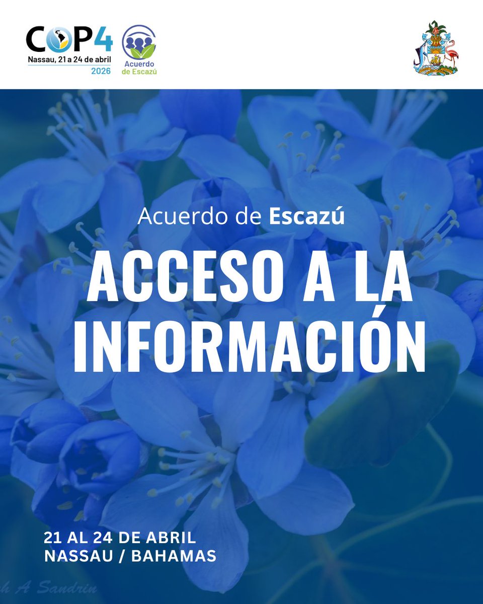 cepal_onu's tweet photo. 🗓️✅¡Márcalo en tu calendario!
La 𝐜𝐮𝐚𝐫𝐭𝐚 𝐫𝐞𝐮𝐧𝐢𝐨́𝐧 𝐝𝐞 𝐥𝐚 𝐂𝐨𝐧𝐟𝐞𝐫𝐞𝐧𝐜𝐢𝐚 𝐝𝐞 𝐥𝐚𝐬 𝐏𝐚𝐫𝐭𝐞𝐬 #𝐂𝐎𝐏𝟒 𝐝𝐞𝐥 #𝐀𝐜𝐮𝐞𝐫𝐝𝐨𝐃𝐞𝐄𝐬𝐜𝐚𝐳𝐮́🌿 se realizará en Nassau, 🇧🇸Bahamas, del 21 al 24 de abril.
El encuentro, que cuenta con el apoyo y colaboración de @AgendaCAF, se realizará de manera híbrida (presencial y online).
Sigue la transmisión en vivo a través de
📡https://t.co/tVWQVOdaME.
📌Inauguran (martes 21/04, 14:30 pm de Bahamas GMT -4):
🔹@ZaneLightbourne, Ministro de Estado para el Medio Ambiente de Bahamas.
🔹@JoseMSalazarX, Secretario Ejecutivo de la #CEPAL (vía video).
🔹@Suboscarcaputi, Subsecretario de @mambienteuy.
🔹@LeotaudMarie, representante electa del público, procedente de Trinidad y Tabago.
🔹 Lakeisha Anderson-Rolle, representante de la sociedad civil de Bahamas, Directora Ejecutiva @BNTBahamas.
¡No te quedes fuera! Inscríbete si eres periodista
📝 https://t.co/eDUSCRgDC4
Todos los detalles en 👉https://t.co/E1hGqRIzPW