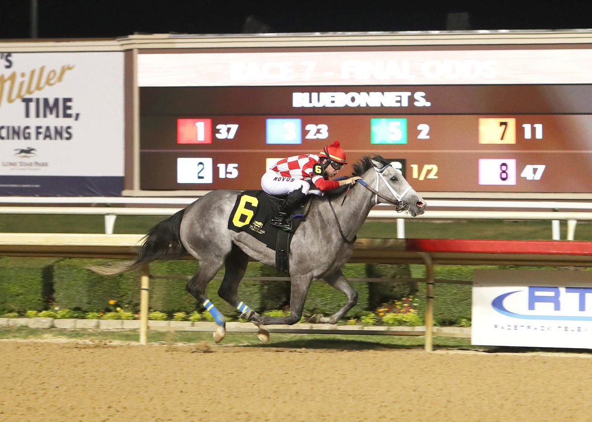 Lane J.Luzzi tweet media