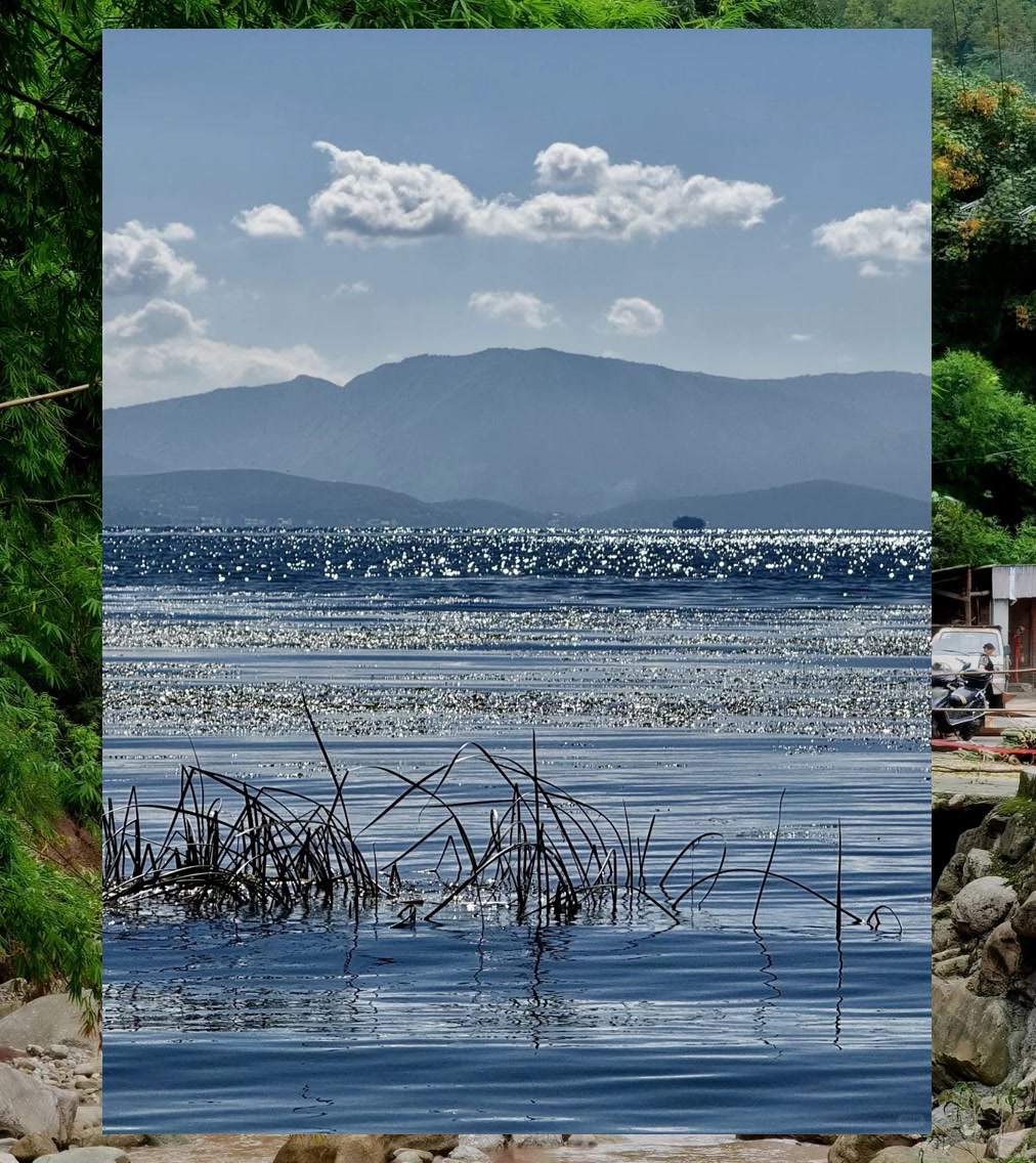 Shay Payne tweet media