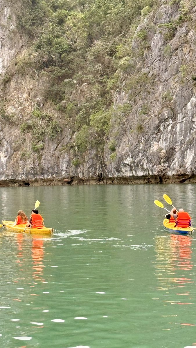 hafelg's tweet image. The missing #Vietnam files, day 24: Exactly one year ago today, we were cruising #HaLongBay. Limestone cliffs, calm water, and that hazy April light. Still thinking about this one 🛥️🌿

#Latergram #AprilMemories #SoutheastAsia
