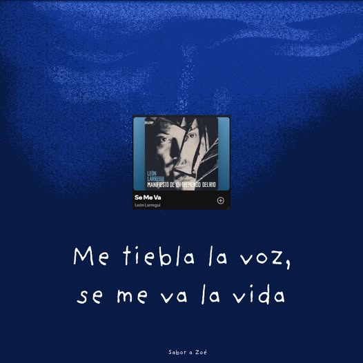 Sabor a Zoé (@saborazoe) on Twitter photo 