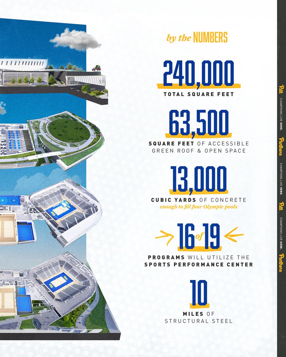 Pitt Panthers tweet media