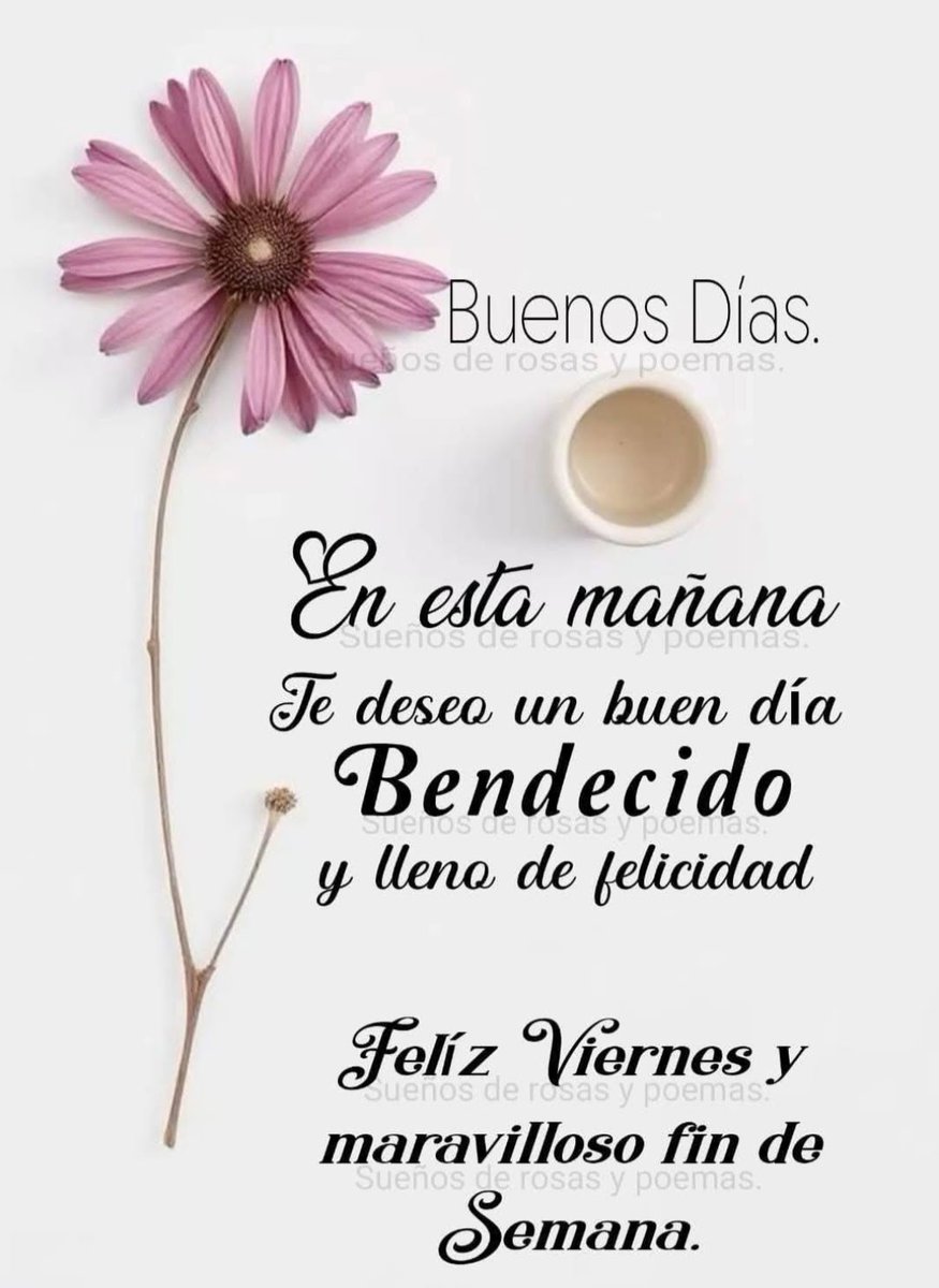 Letizia Medina Sánch tweet media