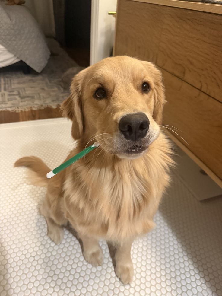 krikri°• tweet media