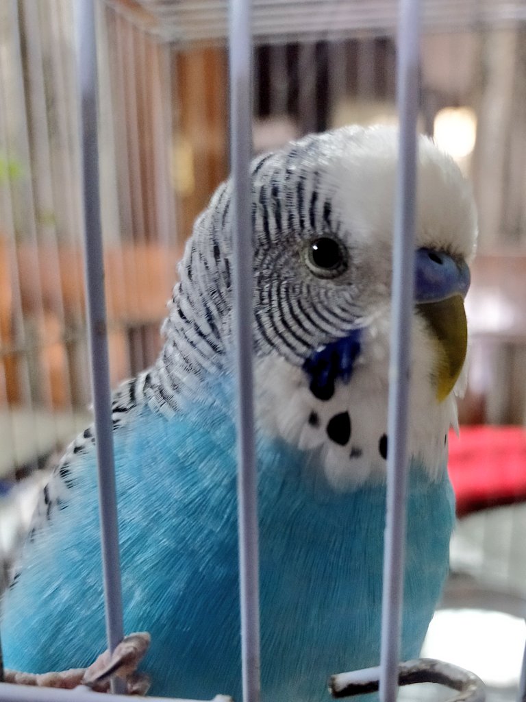 Pranjali Sharma 🇮🇳💫🏹✨ tweet media