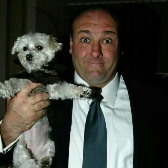 The Sopranos Guy™ tweet media