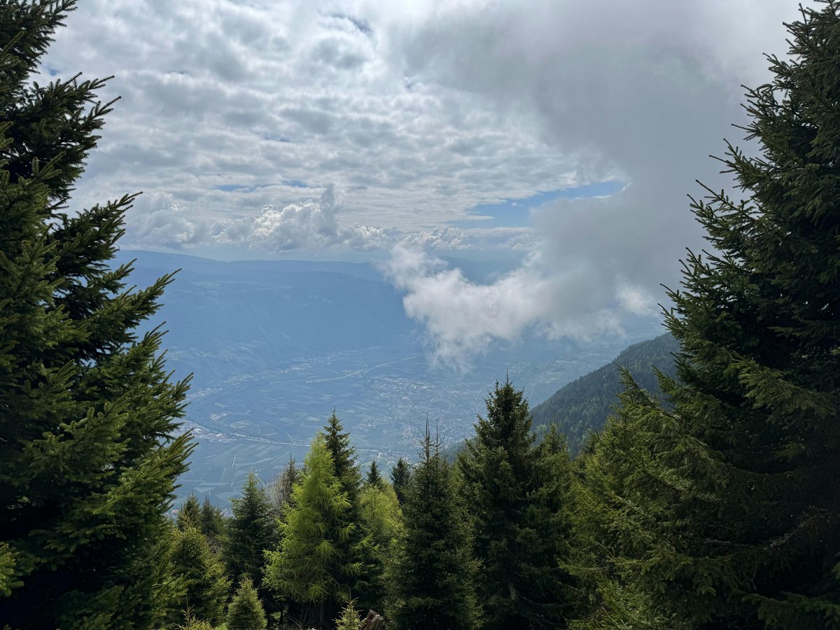 銀河くん tweet media