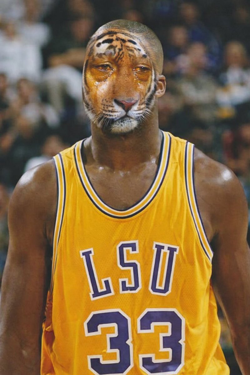 BayouBall&Beyond tweet media