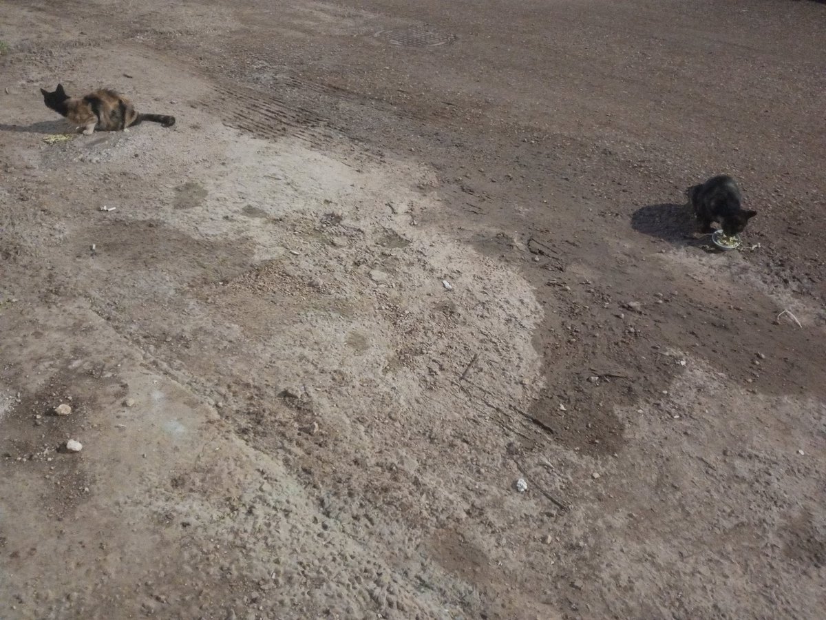 𓂆 ُالنُّـورُ كله tweet media