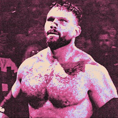 Belgique’s Bruiser. ✴︎ tweet media