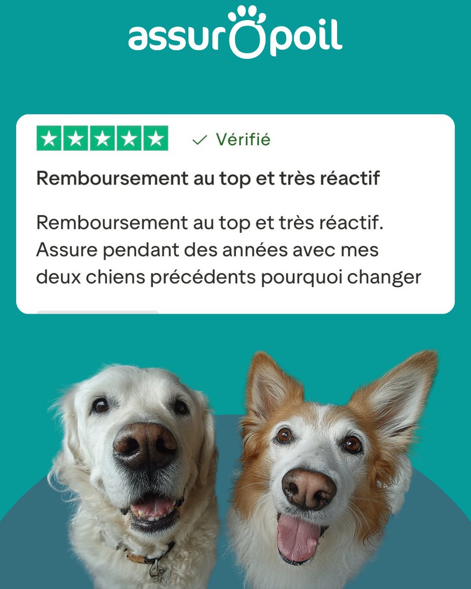 Comme ce client, faites confiance à Assur O'Poil pour des remboursements au top et une tranquillité d'esprit durable. Pourquoi changer une équipe qui gagne ? 😉🐾

bit.ly/3OrPkwq

#AssurOPoil #TémoignageClient #Fidélité #SantéAnimale #ChiensHeureux