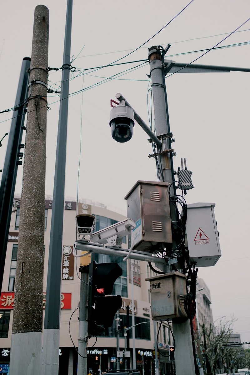 หมาป่า . tweet media