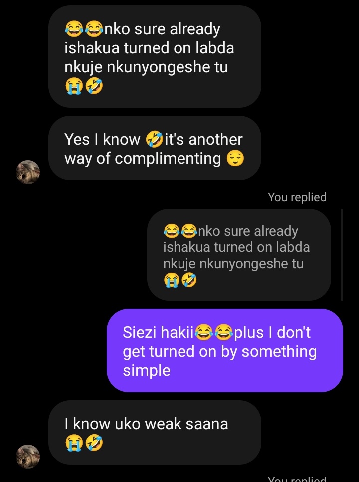 Animol_41 tweet media