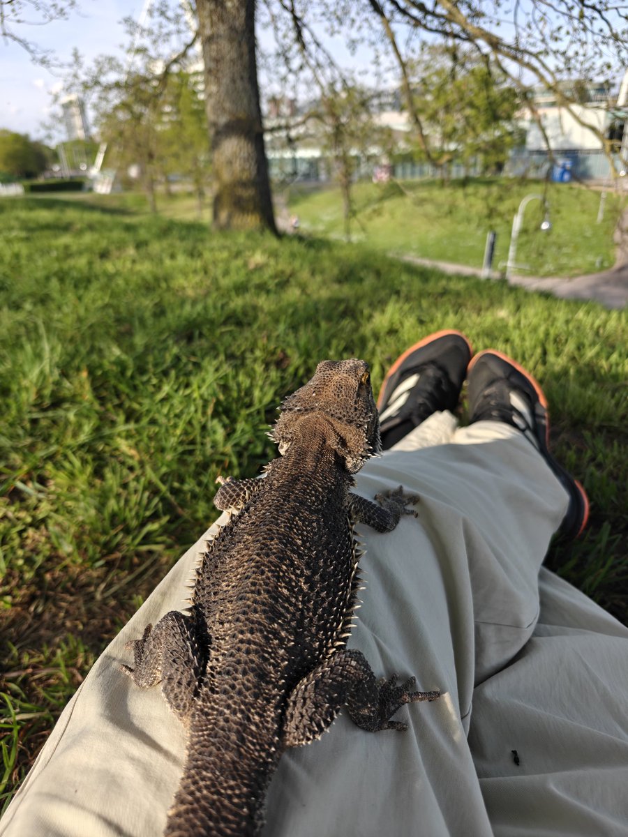 coolster #DECOOUT tweet media