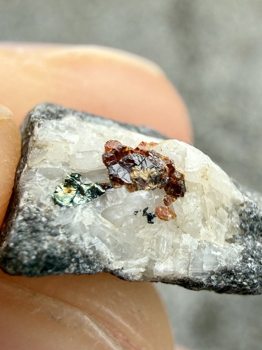 Mandy Simard tweet media