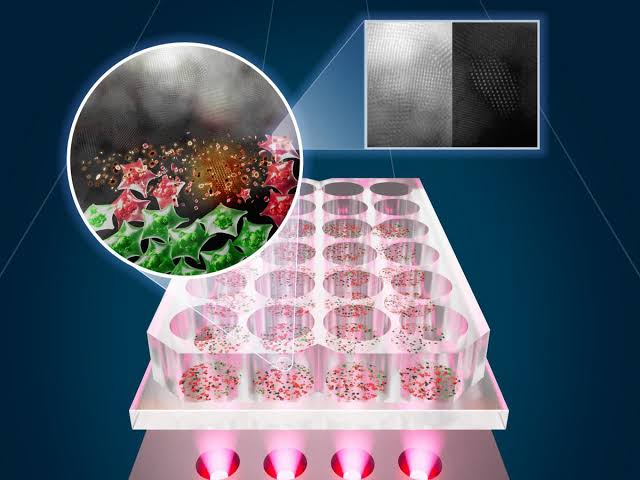 For all Curious tweet media