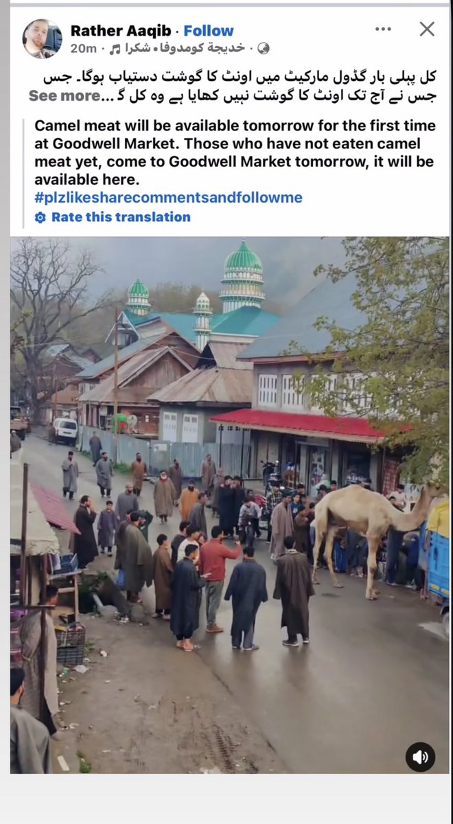 yash saghal tweet media