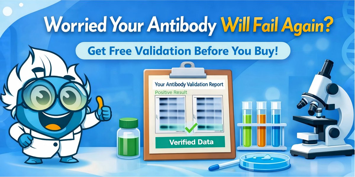 Boster Bio tweet media