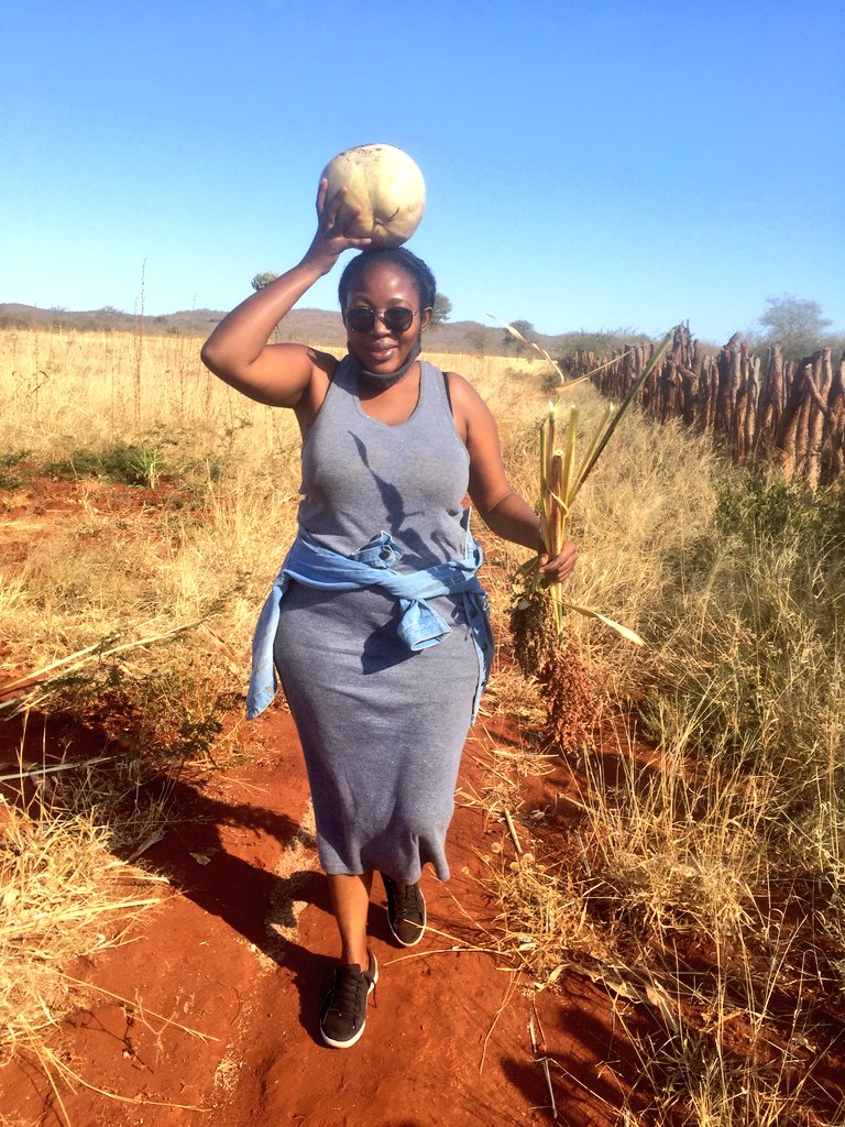 Thandekile Moyo tweet media