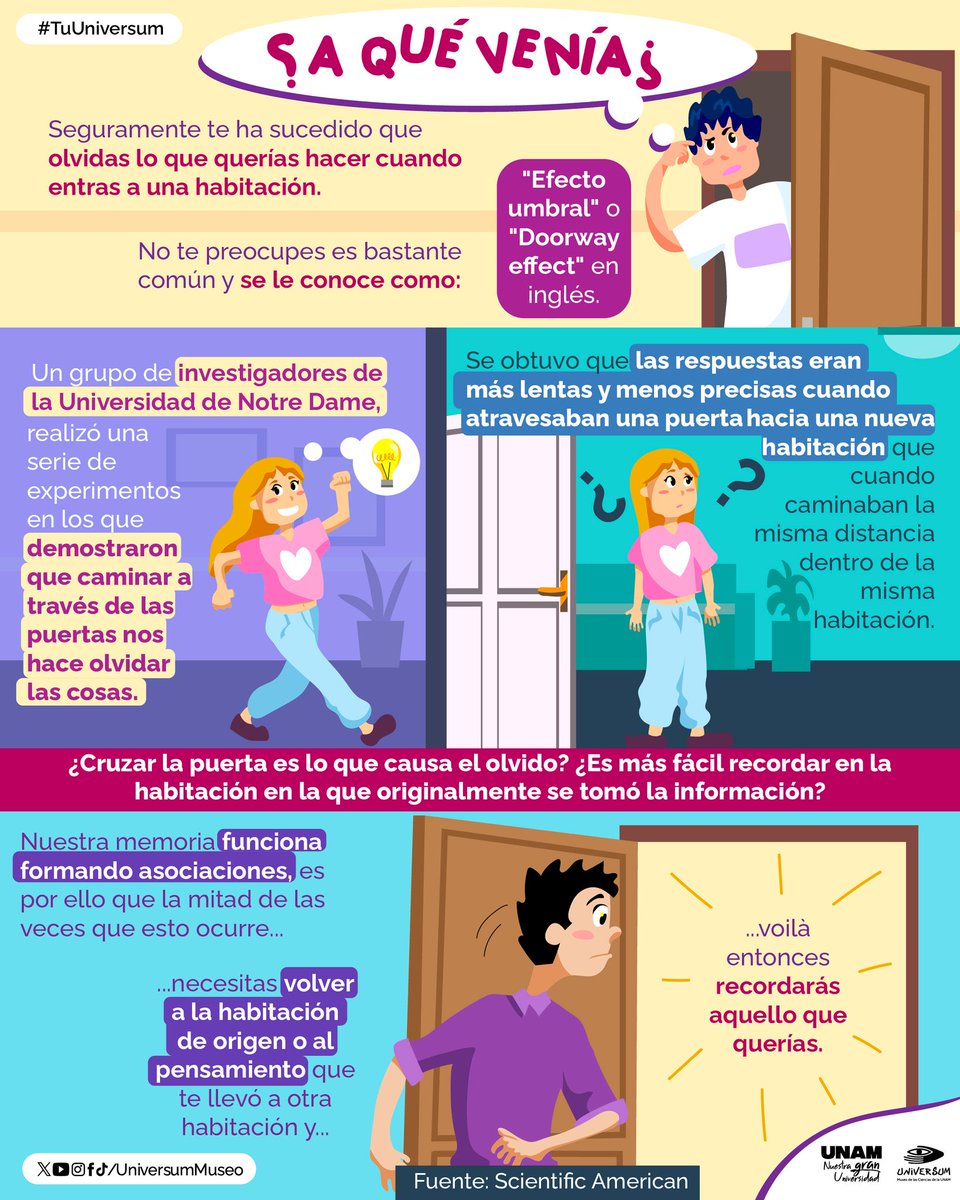 🚪 Cruzar una puerta puede hacer que olvides lo que ibas a hacer: se le conoce como “efecto umbral”. ¿Y volver a la habitación donde pensaste la idea permite recordarla? Checa la infografía de <a href="/UniversumMuseo/">Universum Museo</a>. ⬇️