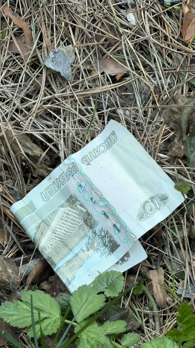 ведьмина избушка 🗝️ tweet media