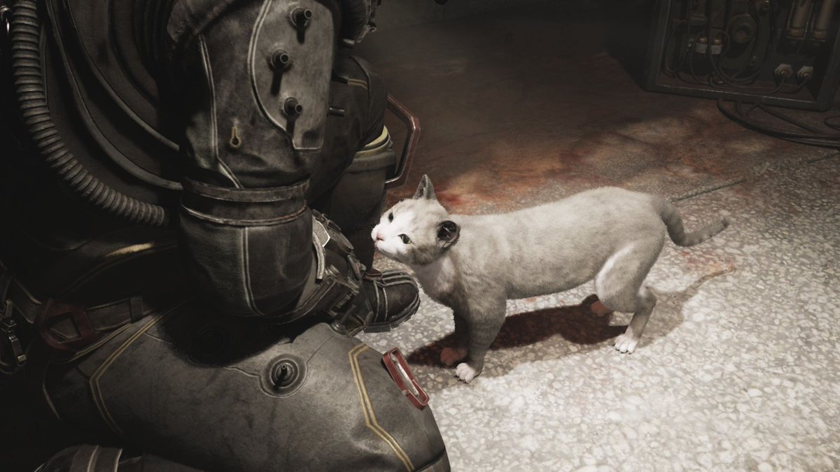 Kala Elizabeth tweet media