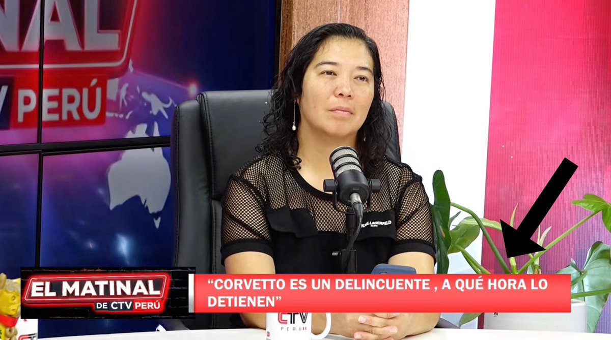 Derechistas obsesionados con el fraude inexistente tweet media