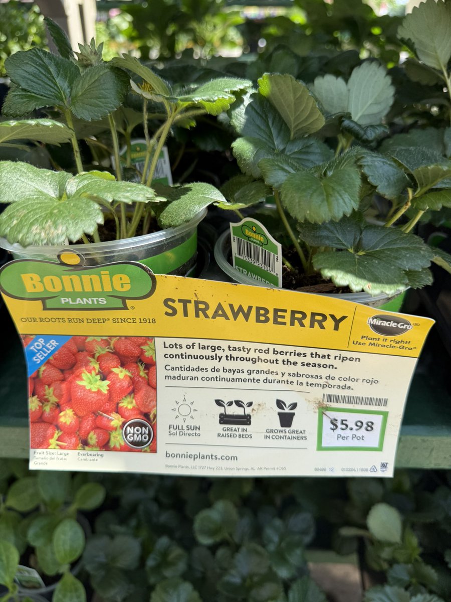 USMC Lady Vet 🇺🇸 tweet media