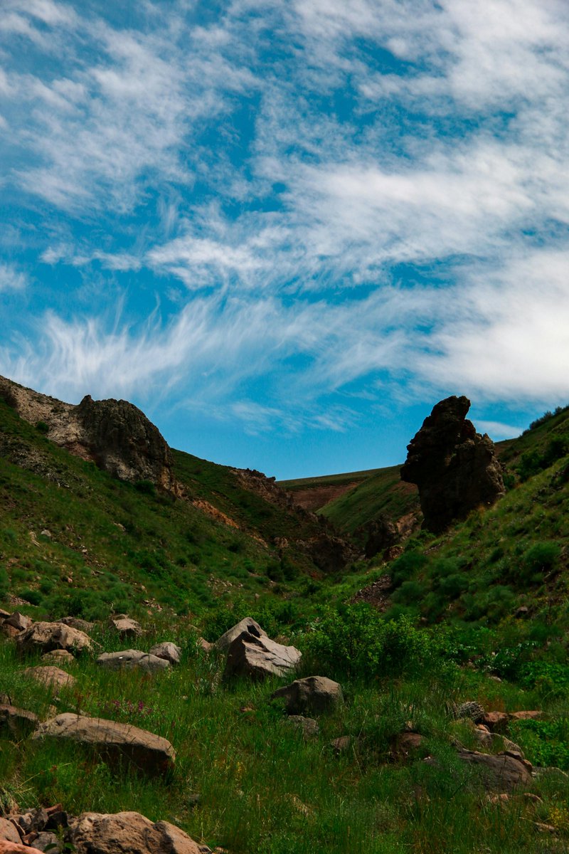 luis vinces tweet media