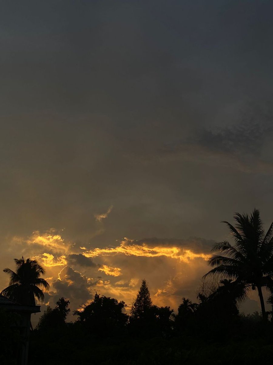 rio jenar1 tweet media