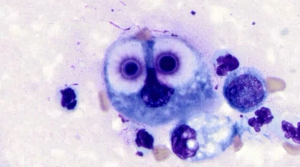 Abdulhamid tweet media