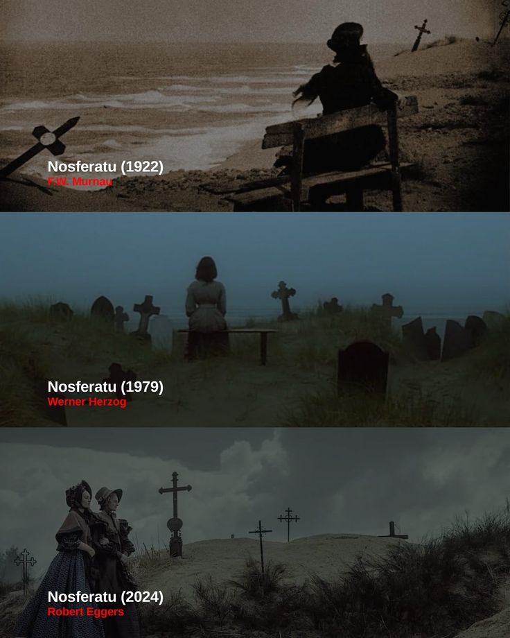 Tatiana Fajardo tweet media