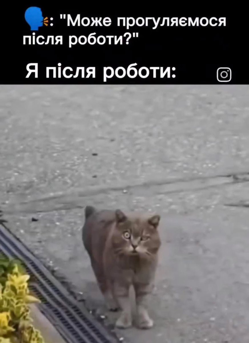 Добрий вечір студія