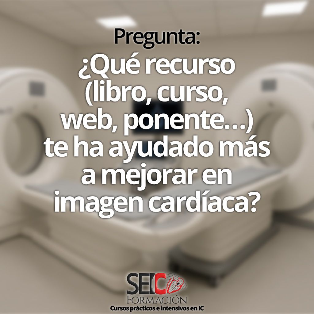 SEIC Formación tweet media